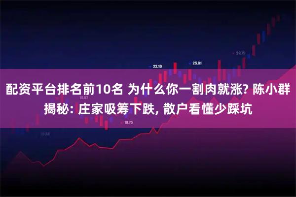 配资平台排名前10名 为什么你一割肉就涨? 陈小群揭秘: 庄家吸筹下跌, 散户看懂少踩坑