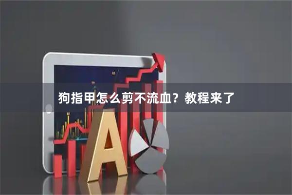 狗指甲怎么剪不流血？教程来了